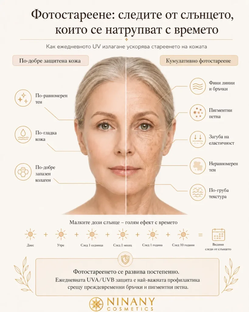 ace-photoaging